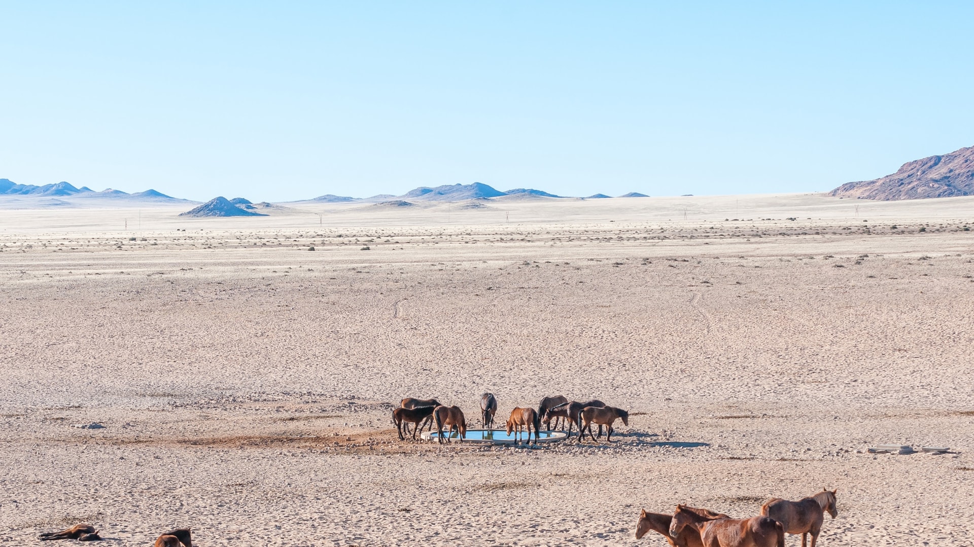 Roadtrip im Süd-Westen Namibias